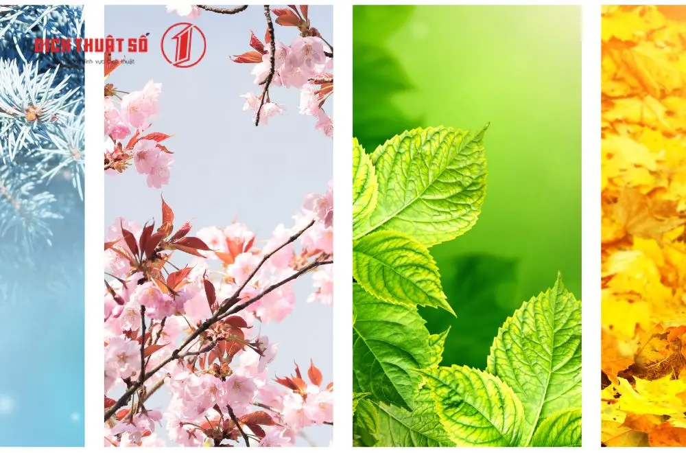 Từ vựng tiếng Hàn về thời gian: Các mùa trong năm
