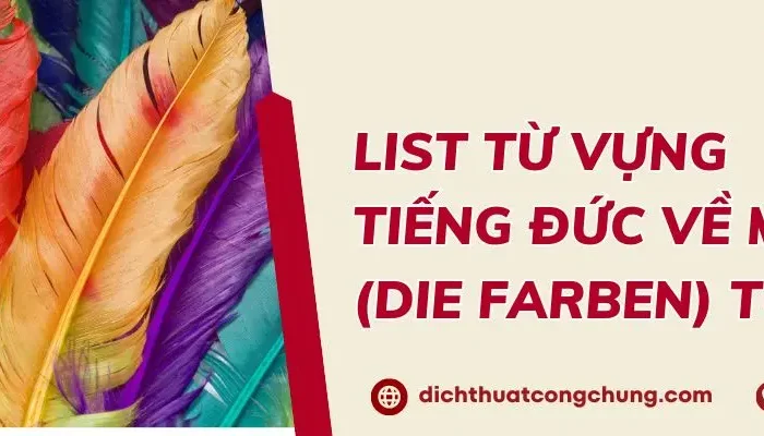 List Từ Vựng Màu Sắc Tiếng Đức Từ A1-B1