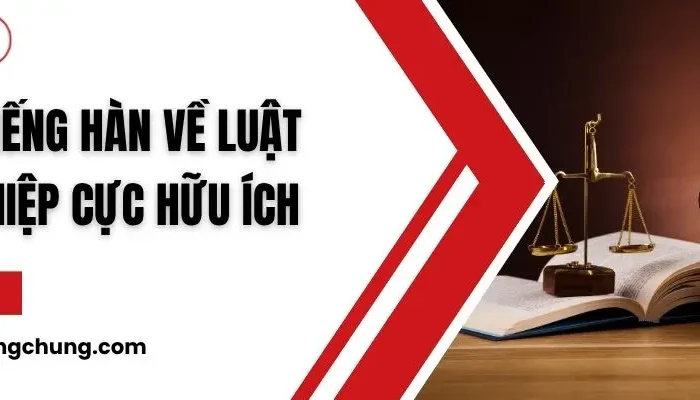 từ vựng tiếng hàn về luật doanh nghiệp