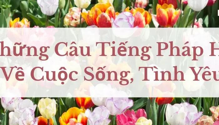 Những Câu Tiếng Pháp Hay, Truyền Cảm Hứng Về Cuộc Sống, Tình Yêu