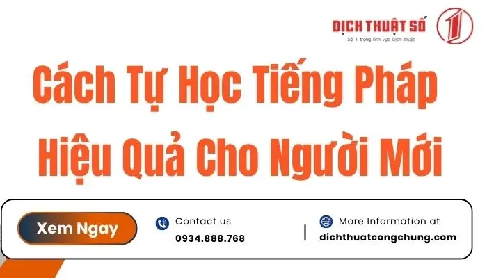 Tự Học Tiếng Pháp Hiệu Quả Tại Nhà Bắt Đầu Từ Đâu?