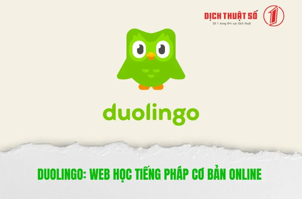 Duolingo: Web học tiếng Pháp cơ bản online 