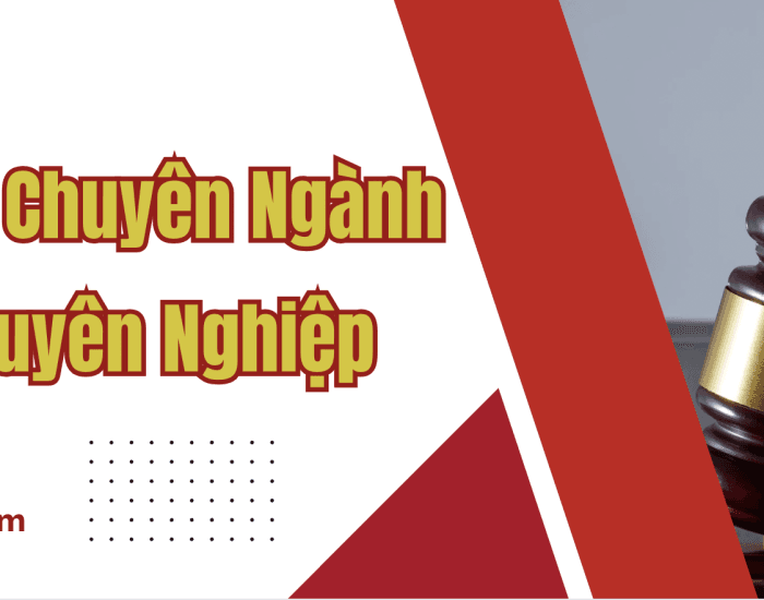Dịch Tiếng Anh Chuyên Ngành Luật Uy Tín, Chuyên Nghiệp