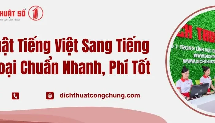 Dịch Vụ Dịch Tiếng Việt Sang Tiếng Quan Thoại Uy Tín, Phí Tốt