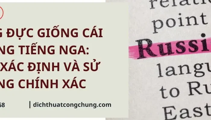Giống Đực Giống Cái Trong Tiếng Nga: Cách Xác Định Và Sử Dụng